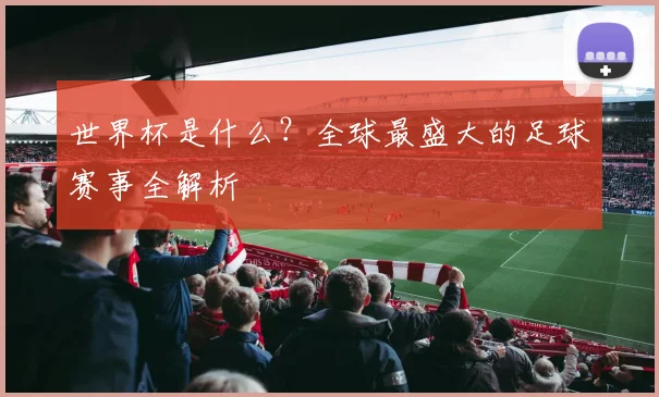世界杯是什么？全球最盛大的足球赛事全解析