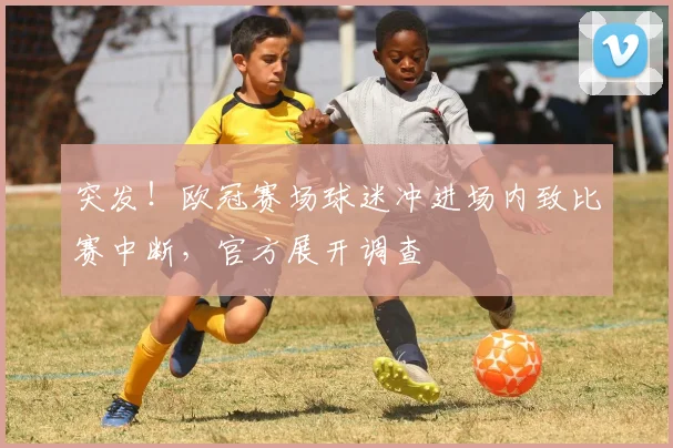 突发！欧冠赛场球迷冲进场内致比赛中断，官方展开调查