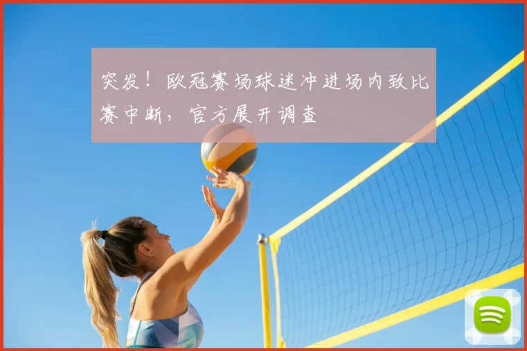 突发！欧冠赛场球迷冲进场内致比赛中断，官方展开调查