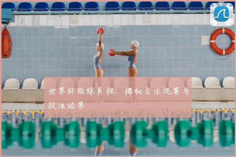 世界杯购球真相：揭秘合法观赛与投注边界