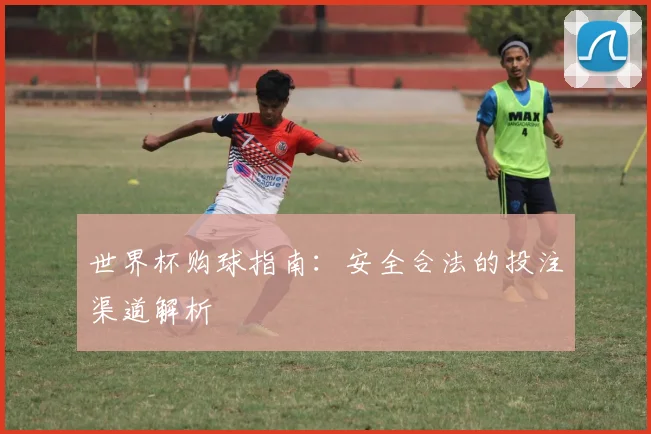 世界杯购球指南：安全合法的投注渠道解析
