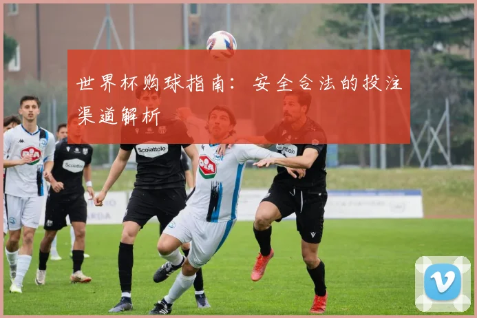 世界杯购球指南：安全合法的投注渠道解析
