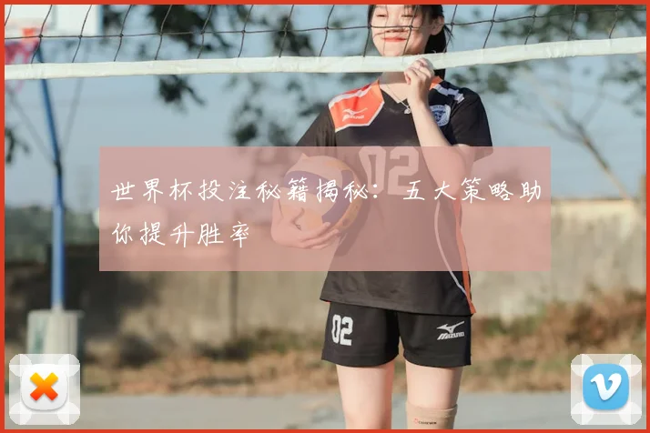 世界杯投注秘籍揭秘：五大策略助你提升胜率