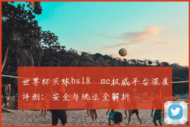 世界杯买球bs18婰me权威平台深度评测：安全与玩法全解析