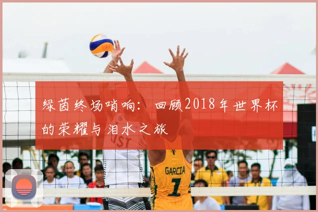 绿茵终场哨响：回顾2018年世界杯的荣耀与泪水之旅