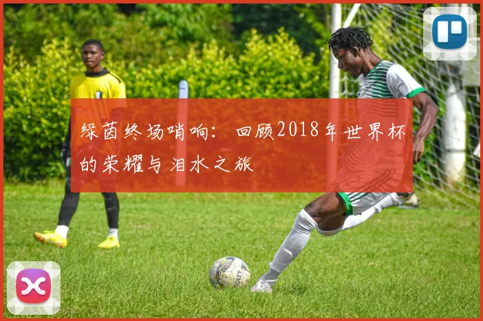 绿茵终场哨响：回顾2018年世界杯的荣耀与泪水之旅