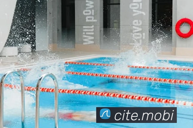 开云在线官方网站APP 高清赛事图